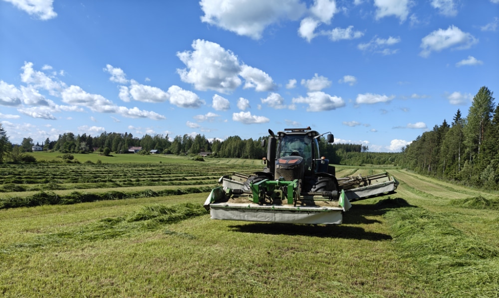 Samasz perhosniittomurskain pellolla toissa.
